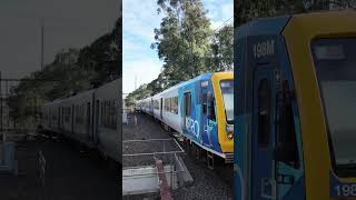 Indigenous artwork on X’Trapolis train at Jordanville Station [upl. by Brendan706]