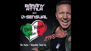 Bárány Attila Live Mix  Vár Bistro Várpalota 2024 10 04 [upl. by Jerman]