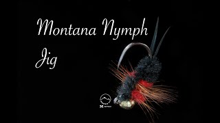 Montana Nymph Jig  Mountainfly Fly Tying [upl. by Intihw]