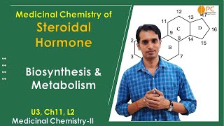 Steroidal Hormones Medicinal Chemistry Part 3 Biosynthesis and Metabolism of Steroidal Hormone [upl. by Erreid]