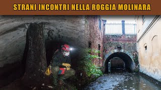 Esplorazione della Roggia Molinara di Vercelli [upl. by Cele481]