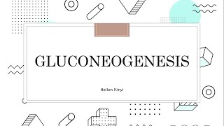 Gluconeogenesis [upl. by Amoakuh]