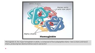 Hemoglobin structure [upl. by Ralli]