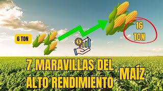 Aumenta tu producción en maíz🌽 Considerando estas 7 variables👨‍🌾 [upl. by Iiette]