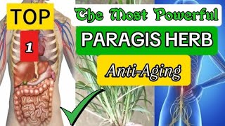 Health Talk Vlog 15  TAGALOG  Katas ng PARAGIS GAMOT sa maraming SAKIT [upl. by Ahsiekahs]