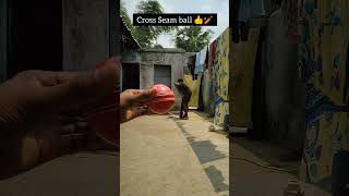 Fast Bowling Variation tips 👍🏏sorts sports cricket cricketshorts fastbolling [upl. by Corty19]