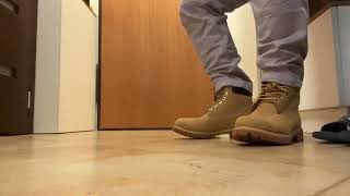 Timberland 6 inch premium boots  waterproof  look on feet [upl. by Nordine]