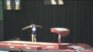 2010 Gymnix World Cup Shusuke Kikuchi Vault [upl. by Annaoj]