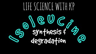 ISOLEUCINE Synthesisamp DegradationVlog 8 [upl. by Kath]