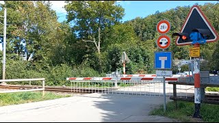 Bahnübergang Adliswil CH  Swiss Railroad Crossing [upl. by Ynnad]