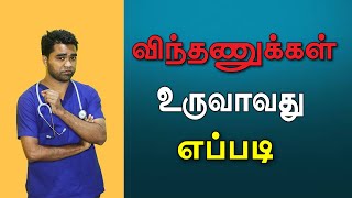 Sperm production Tamil  Health tips Tamil [upl. by Atenaz]