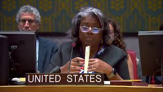 Childrens Hospital in Kyiv  Statements of China the USA and the EU at the UN Security Council [upl. by Jarlen]