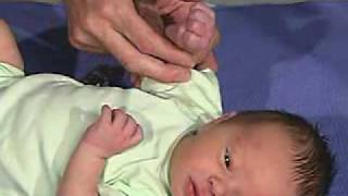 physical exam Newborn Normal Tone  Hand Position [upl. by Johnathan]