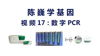 【陈巍学基因】视频17：数字PCR [upl. by Nadean]