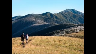 Hiking the Razorback to Mt Feathertop  2 min [upl. by Acinelav]