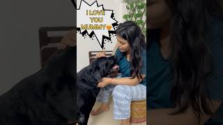 Lucky Ki Mummy Lai Diwali Gift doglover lucky [upl. by Ailefo]