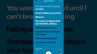 Stitches lyrics by Shawn Mendes  shorts shawnmendes stitches lyrics lofi popmusic [upl. by Lemmy]