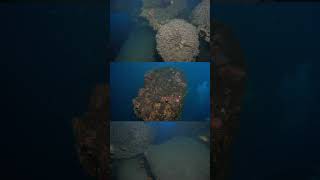 Wreck in the Similans that sunk with precious wood and is very deep scuba diving underwater videos [upl. by Illene]