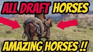 Red Dead Redemption 2 All Draft Horses  Biggest BREEDS In The Game  AMAZING HORSES [upl. by Eaton699]