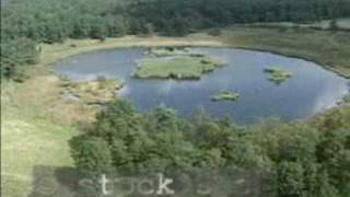 Aerial shots Dwingeloo National Park The Netherlands [upl. by Yearwood]