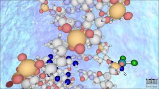 The Mechanism of Cisplatin New HD [upl. by Sral299]