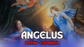 ANGELUS  VIERNES 13 DICIEMBRE [upl. by Ahsimat]