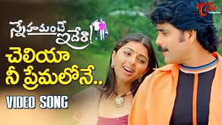 Cheliya Nee Premalone Song  Snehamante Idera Movie  Nag and Bhoomika Blockbuster Song  TeluguOne [upl. by Artiek184]