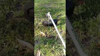 GREENWORKS cordless battery string trimmer You might be surprised [upl. by Elfreda]