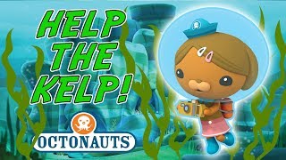 Octonauts  Help the Kelp  Strong Currents [upl. by Aniratac5]