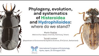 Phylogeny evolution and systematics of Histeroidea and Hydrophiloidea where do we stand [upl. by Elvera]