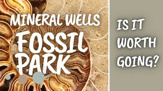 Fossil Hunting at Mineral Wells Fossil Park Texas [upl. by Leacim]