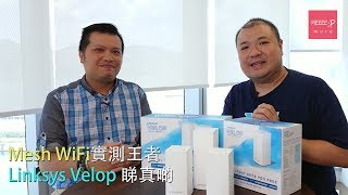 Mesh WiFi 實測王者 Linksys Velop 睇真啲 [upl. by Dibrin]