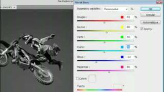 Adobe Photoshop CS4  Passer une image couleur en noir et blanc [upl. by Meeks244]