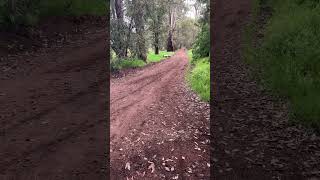 Riding motorbikes in Waroona [upl. by Zippel98]