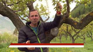 Gel destructeur prix à la baisse quel avenir pour la profession d’agriculteur [upl. by Nutter]