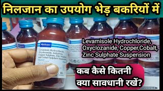 Nilzan LiquidLevamisole Hydrochloride Oxyclozanide ka upyog Sheep Goat mein kab kase kare [upl. by Tibbitts]