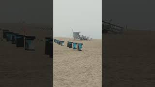 Hermosa Beach Vibes [upl. by Bondon]