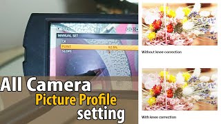 All Camera Picture Profile Setting X8090150  HINDI [upl. by Norm]