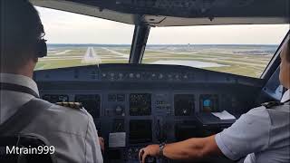 A320 landing DTW cockpit [upl. by Nilreb]