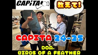 2425 CAPITA DOA BIRDS OF A FEATHERおすすめポイント、変更点など [upl. by Hasina719]