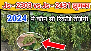 सोयाबीन js2431 झुमका वेरायटी  New soyabean verayti  सोयाबीन की टॉप वेरायटी [upl. by Trojan561]