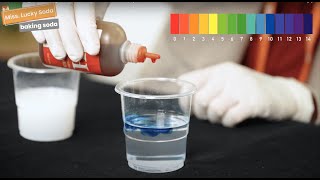 Chemistry Lesson  pH Indicator  Acid amp Base Experiment  Science for Kids [upl. by Sral]