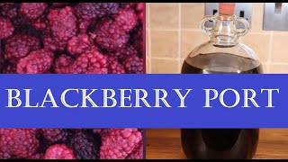 Making Blackberry Port Fortified Wine [upl. by Ayamahs]