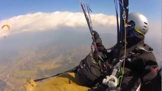 Paraglider vs Eagle Tohas version [upl. by Ecirtam]