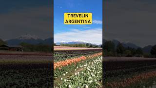 TREVELIN CHUBUT ARGENTINA 🇦🇷 shorts [upl. by Ahsinawt788]