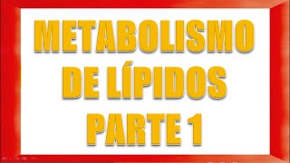 METABOLISMO DE LÍPIDOS PARTE 1 [upl. by Oretos938]