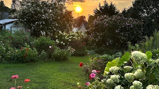 August Silent GARDEN TOUR 🤫 Plant Labels 🌱 Cottage Garden [upl. by Kerr]