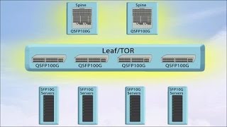 Benefits of 40 100 GE Multirate QSFP Ports [upl. by Galloway246]