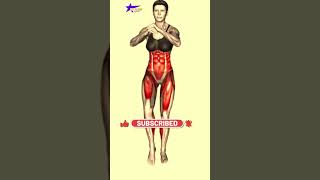 ➜ 5 Best Standing Exercises to Lose Belly Fat bellyfat [upl. by Auqinahs]