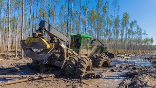 Does It Get Stuck Log Skidder Working in Swamp Conditions [upl. by Aimee]